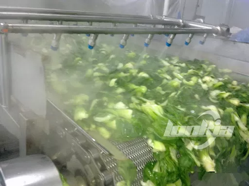 Spinach Blanching Machine Explained: Why and How to Blanch Spinach