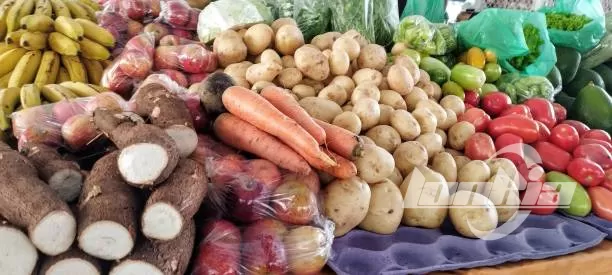 Best Applications of Steam Peeler in Food Processing Industry