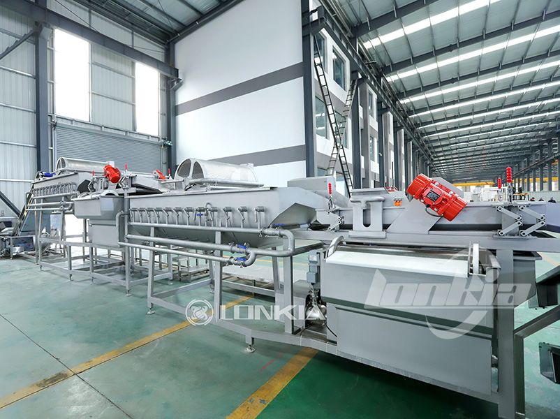 How to Reduce Labor Costs with a Salad Processing Line?