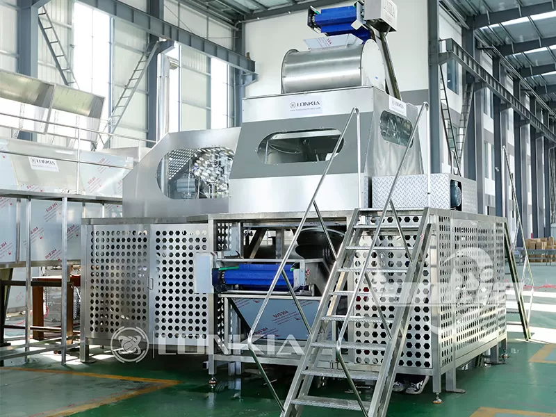 How the Mango Skin Peeler Improves Production Efficiency?
