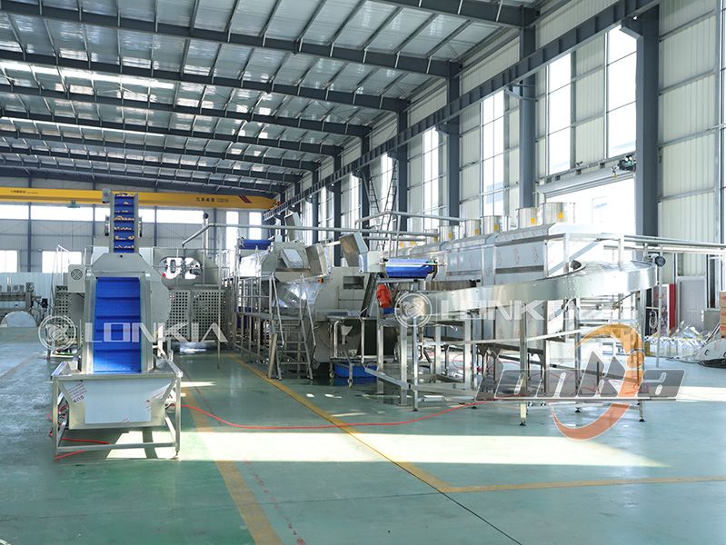 Frozen French Fries Processing Line Capacity: Impact on Quality and Production Cost