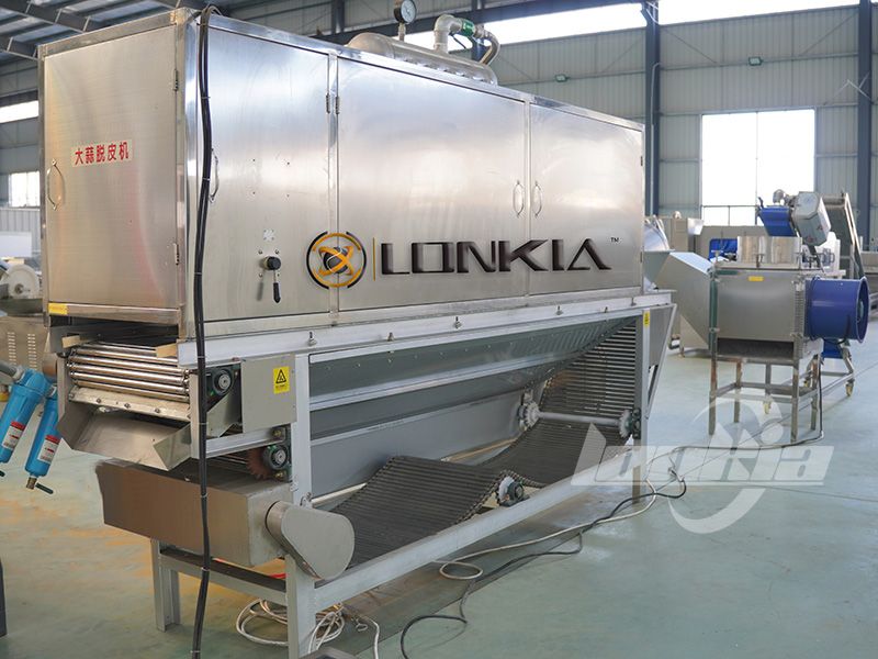 garlic peeling machine manufacturer