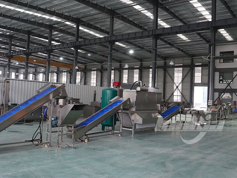 garlic peeling line price