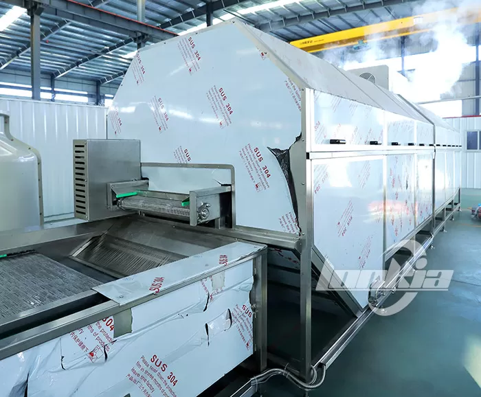 Vegetable Blanching Machine for Pesticide Removal—What Is Vegetable Blanching?