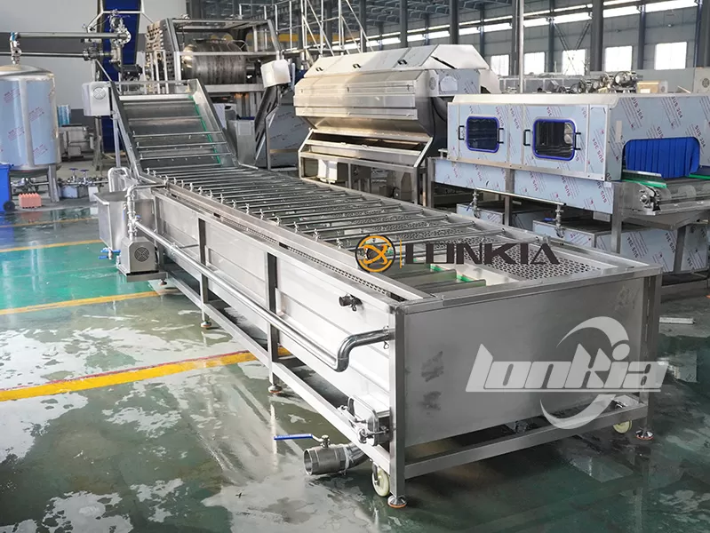 How to Wash Blueberries Properly Using Fruit Washing Machines?