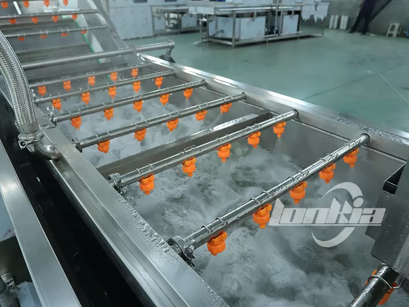 Common Problems in Fruit and Vegetable Washing and How to Solve Them
