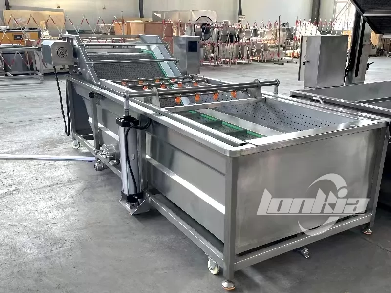 Common Problems in Fruit and Vegetable Washing and How to Solve Them
