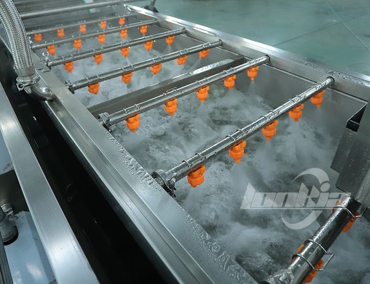 Vegetable Washing Machine7