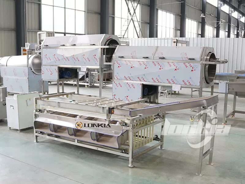 Why Every Carrot Processing Plant Needs a Carrot Grading Machine?