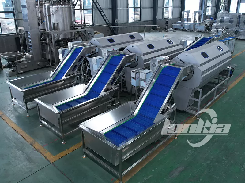 How Much Does a Carrot Peeling Machine Cost? Factors That Affect the Price