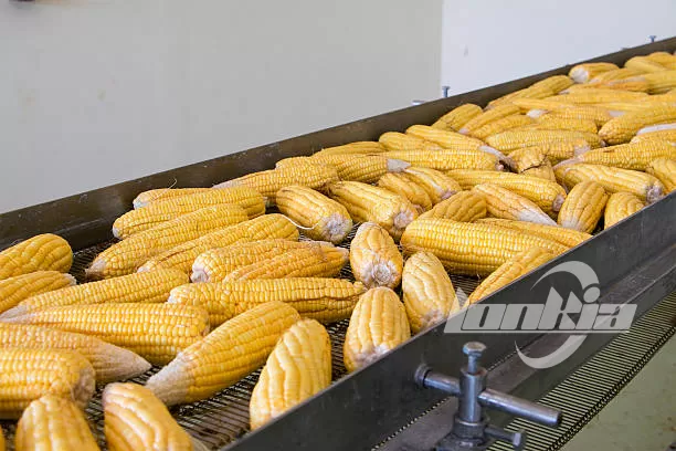 corn processing