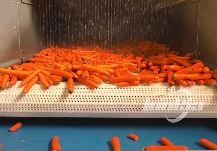 Carrot Blanching Machine Explained: Why and How to Blanch Carrots