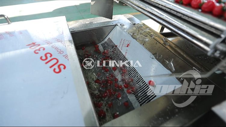 How an Industrial Vegetable Washing Machine Enhances Productivity in Food Processing