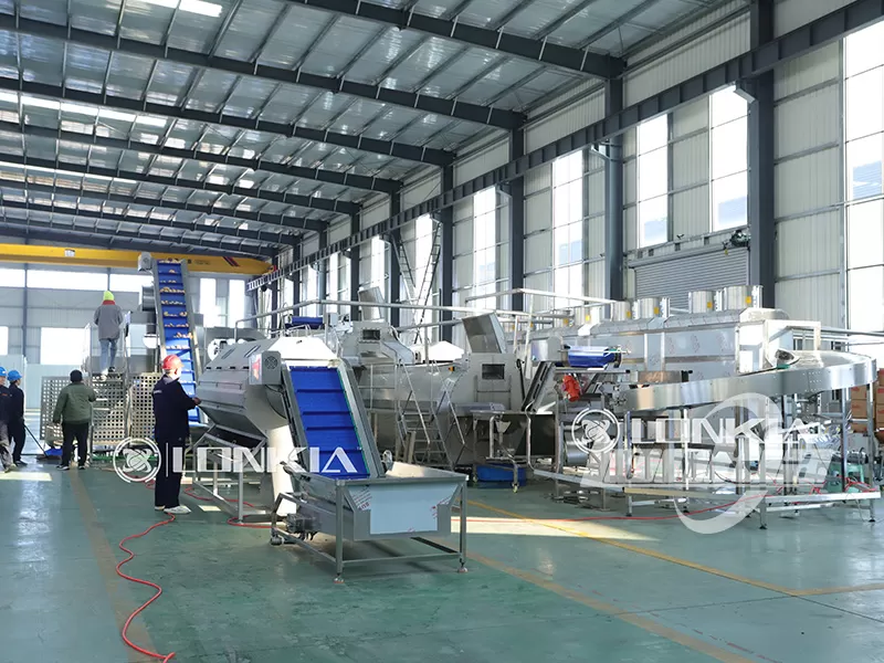 Labor Savings: Fully Automatic Frozen Potato Production Line Benefits