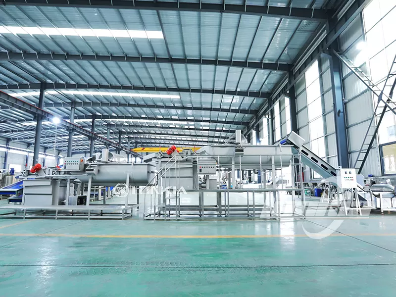 fruit and vegetable processing machine