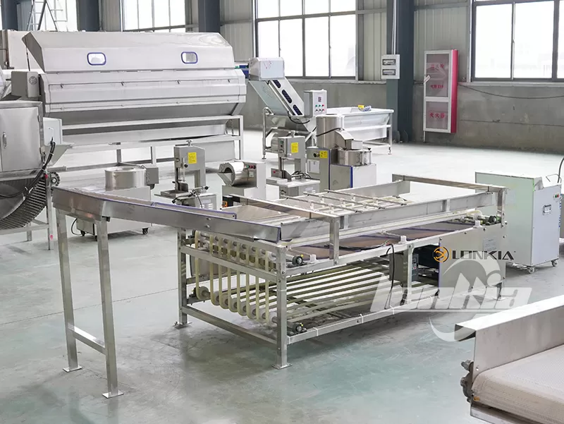 Fruit Grading Machine Integration with Washing and Packaging Lines