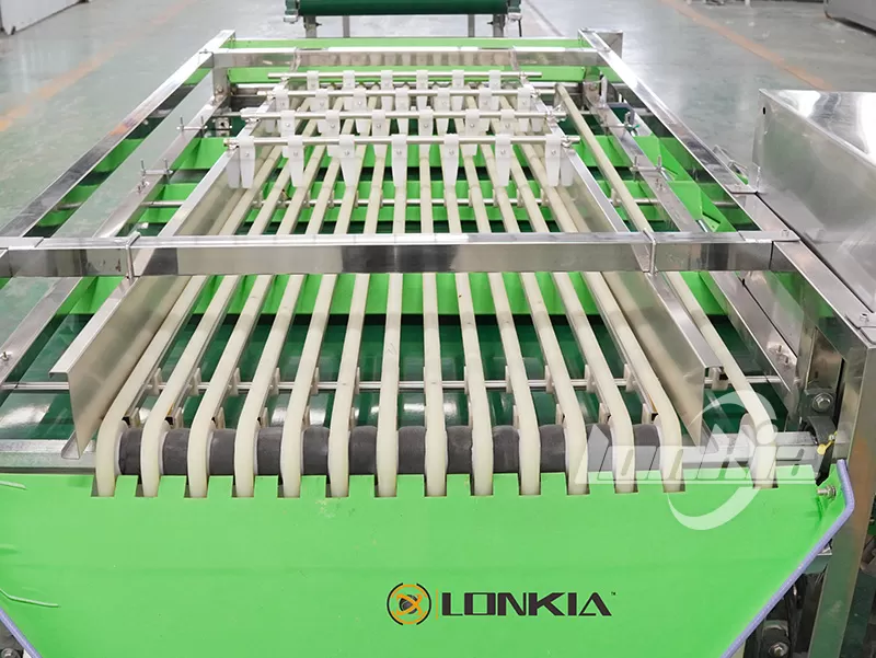 fruit grading machine for sale