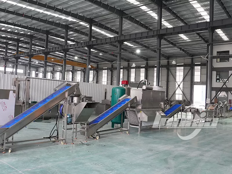 How to Design a Peeled Garlic Processing Plant Layout?