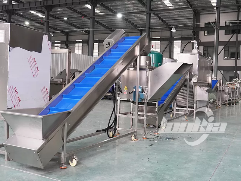 Garlic Processing Machine Manufacturer: What Makes a Reliable Supplier?