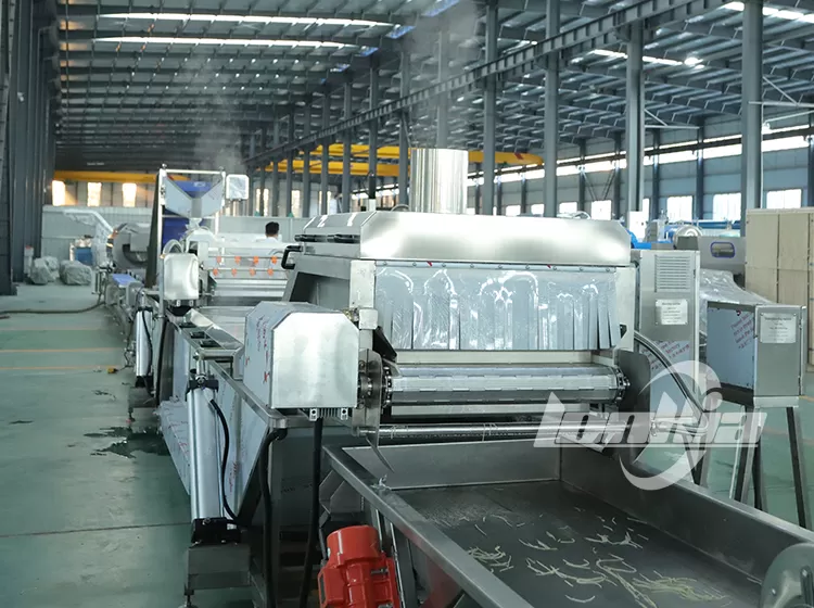 Blanching Machines2