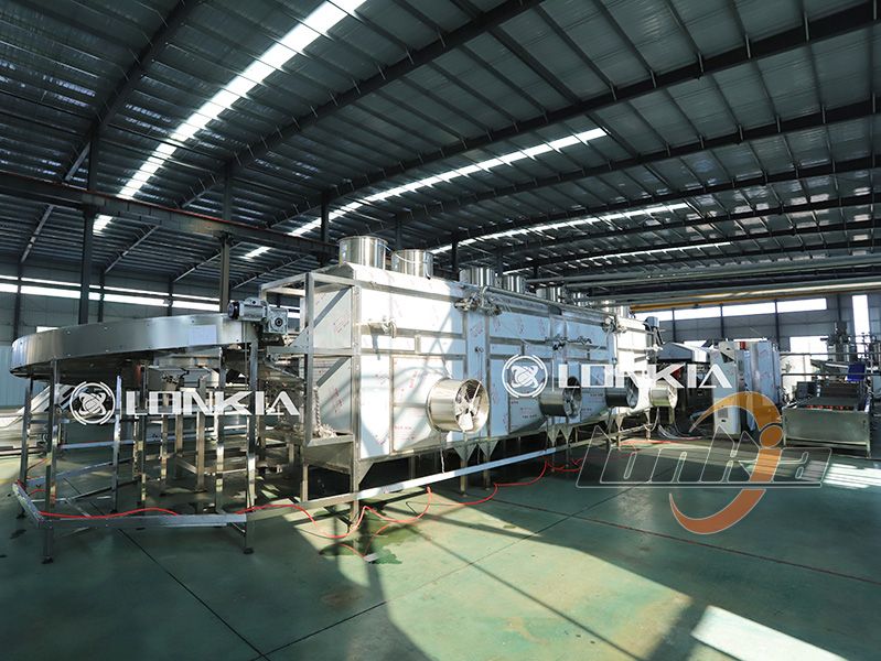 How French Fries Processing Machines Handle Waste and Oil Recovery?