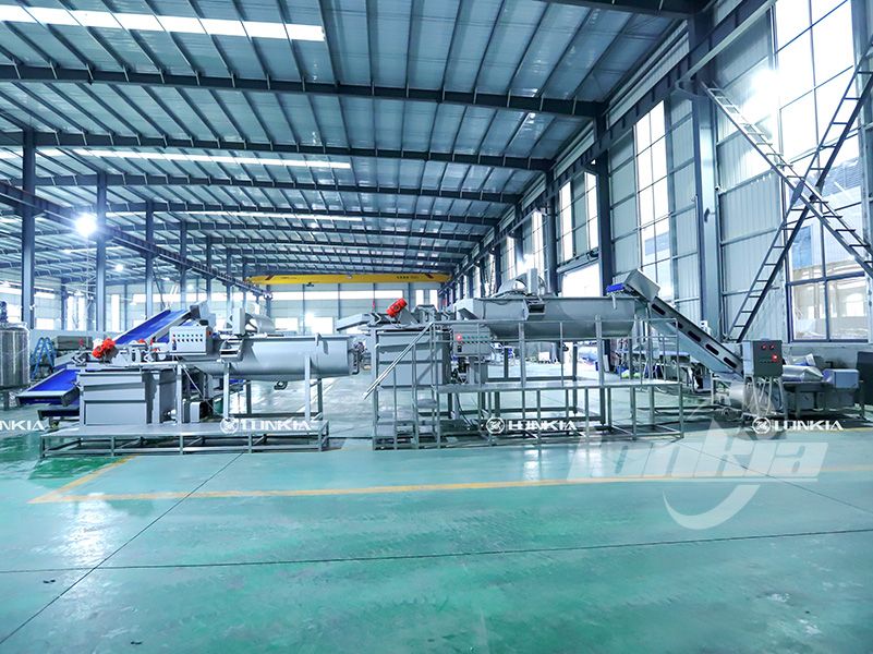 How Automation in Salad Processing Lines Reduces Waste?