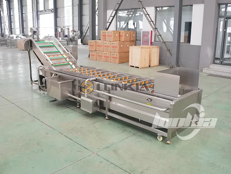 Bubble Washer Applications in Fruit and Vegetable Processing