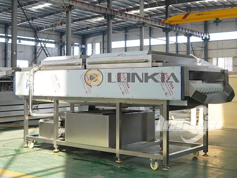 Stainless Steel Fruit and Vegetable Washer: Key Benefits for Food Processing