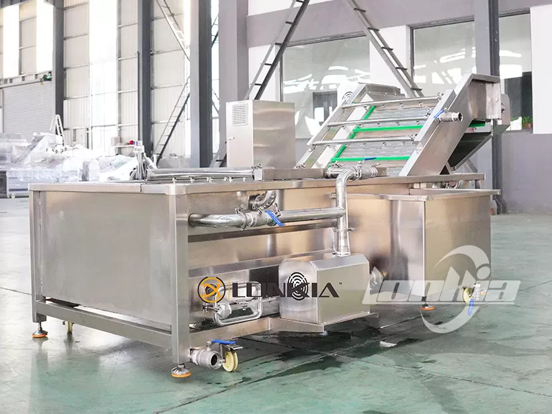 How Does a Fruit and Vegetable Washer Improve Cleaning Efficiency?