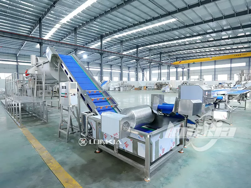 Salad Processing Line Installation and Startup Guide
