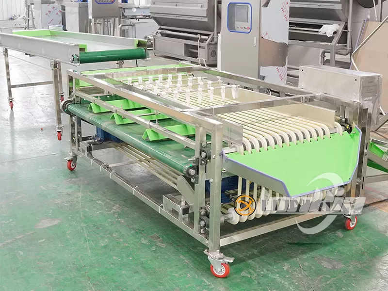 lonkia tomato grading machine