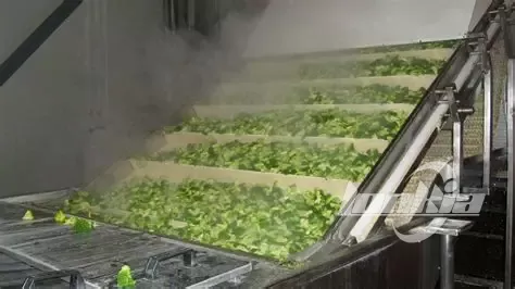 Spinach Blanching Machine