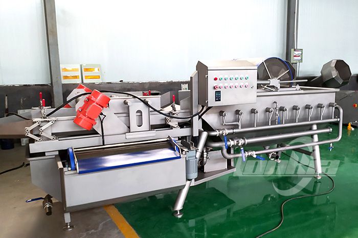 Vegetable Washing Machine2