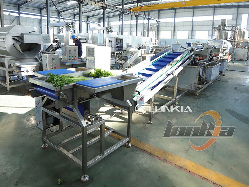 fruit and vegetable washer machine for sale
