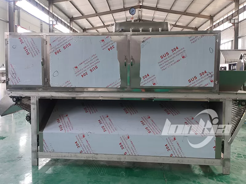 Lonkia Garlic Peeling Machine