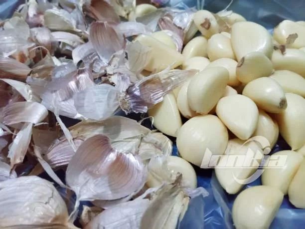 Garlic Peeling Machine Capacity: How Many Kilograms per Hour?