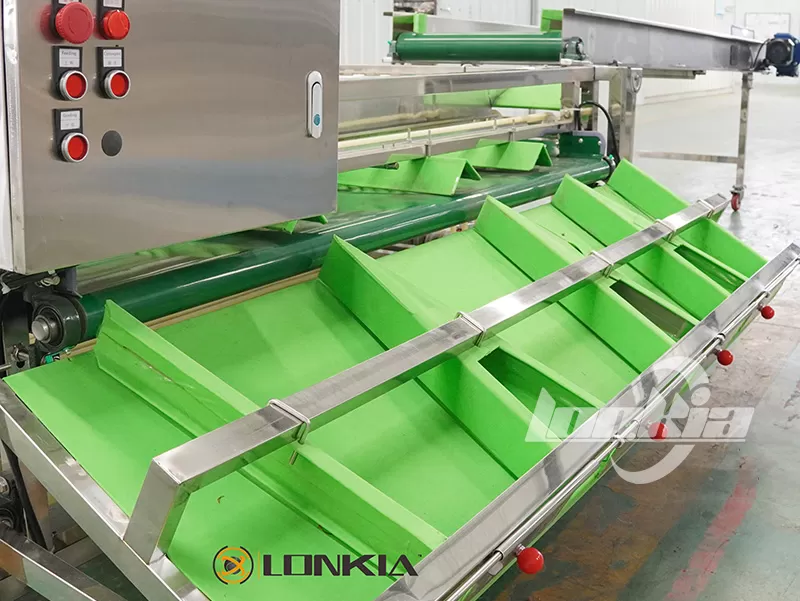 Potato Grading Machine Buying Guide: Questions Every Buyer Should Ask