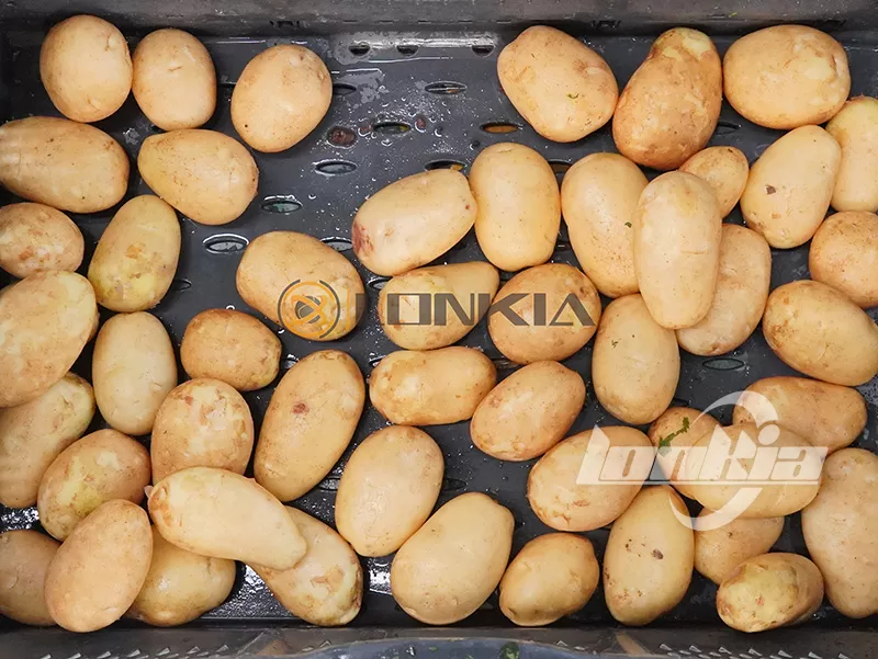 What Capacity Potato Washing Machine Do You Need for Your Plant?
