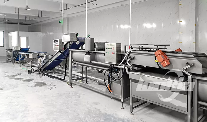 Vegetable Washing Machine