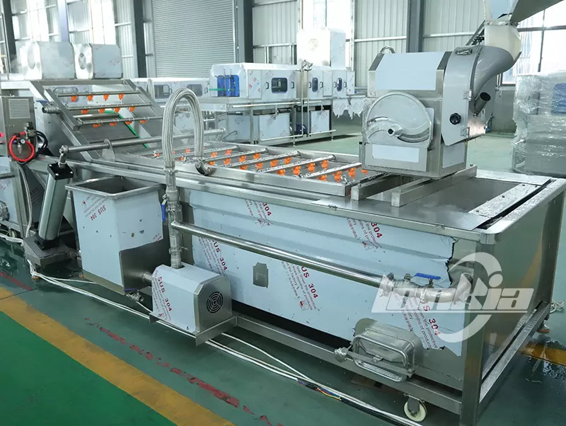 Best Vegetables Suitable for Salad Processing Line