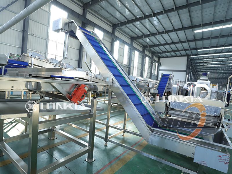 French Fries Production Line factory