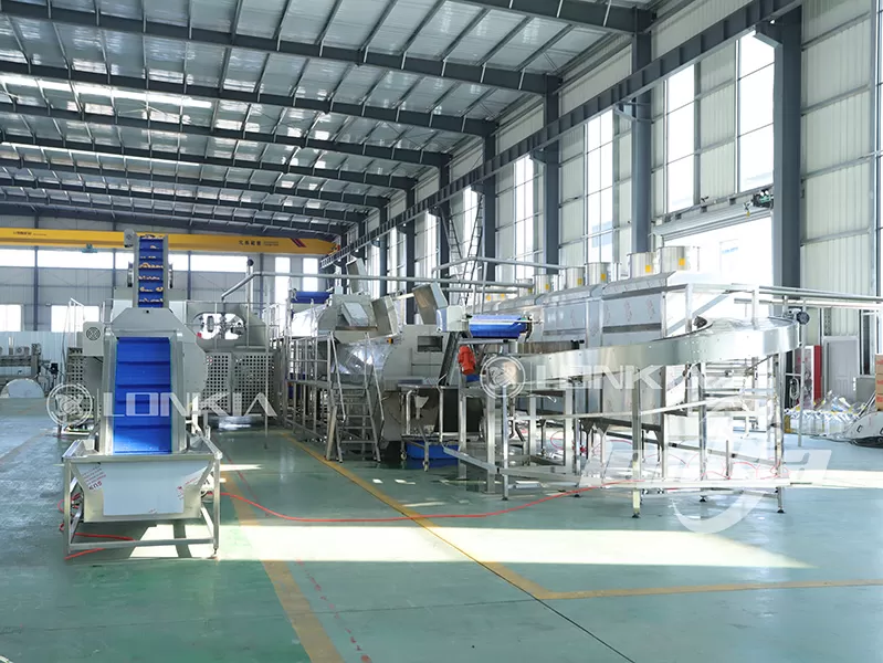 French fries processing plant