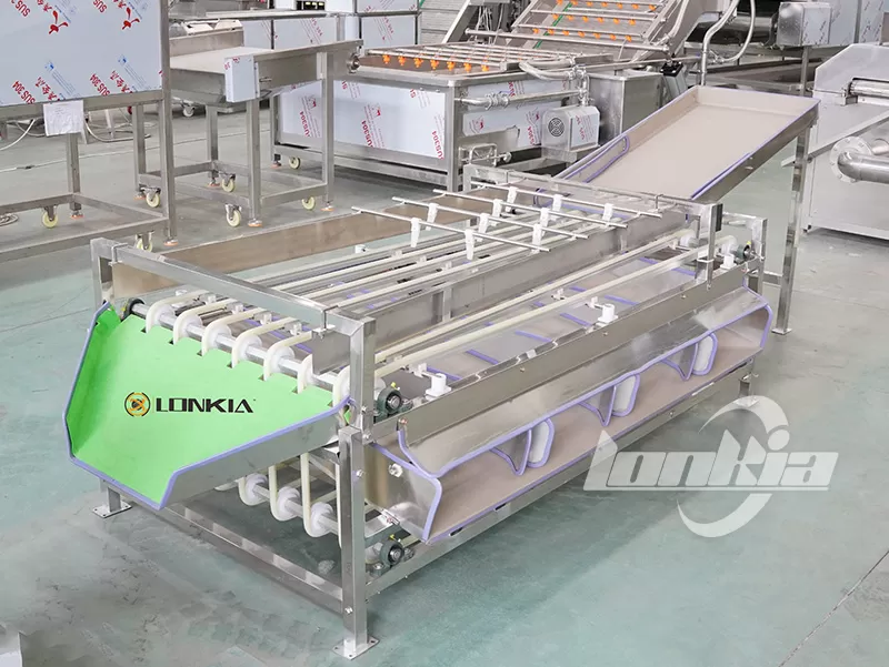 How Tomato Grading Machine Improves Sorting Efficiency for Fresh Produce?