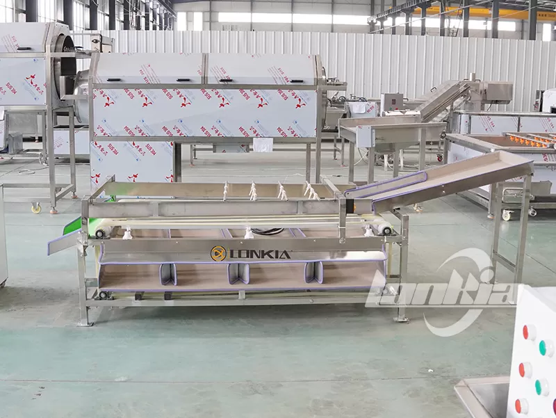 tomato sorter