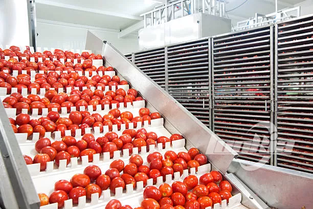 How Tomato Grading Machine Improves Sorting Efficiency for Fresh Produce?