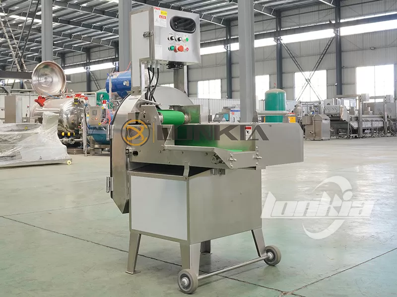 Vegetable Slicer Cutter