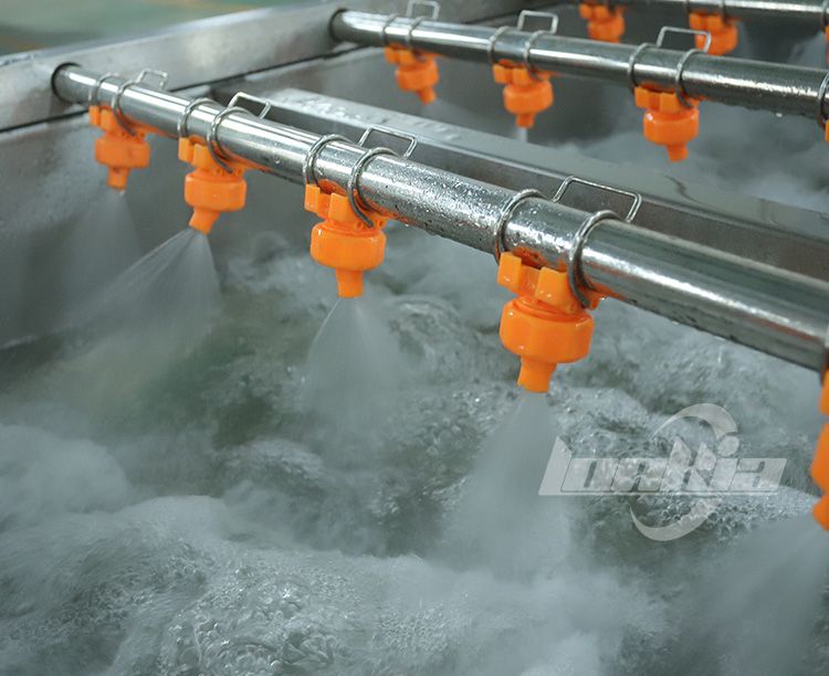 Vegetable Washing Machine6