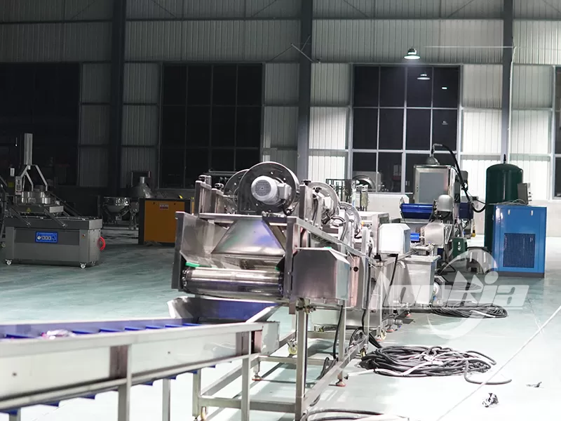 lonkia Garlic Peeling Production Line